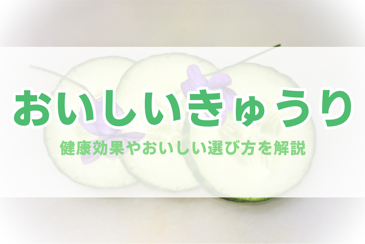 きゅうり 栄養 ギネス 選び方 健康