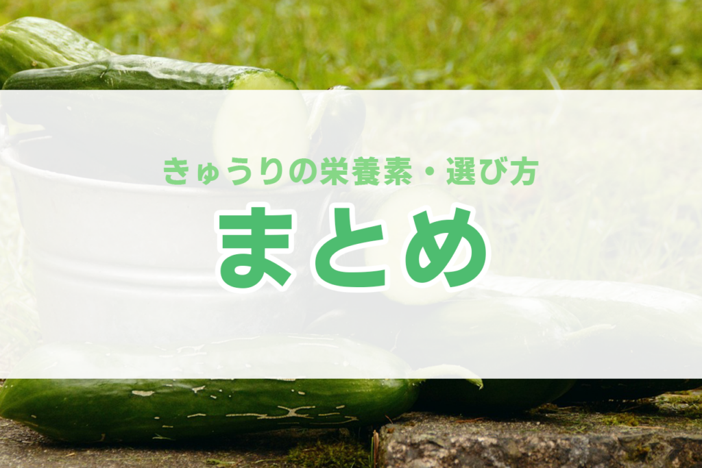 きゅうり 栄養 ギネス 選び方 健康