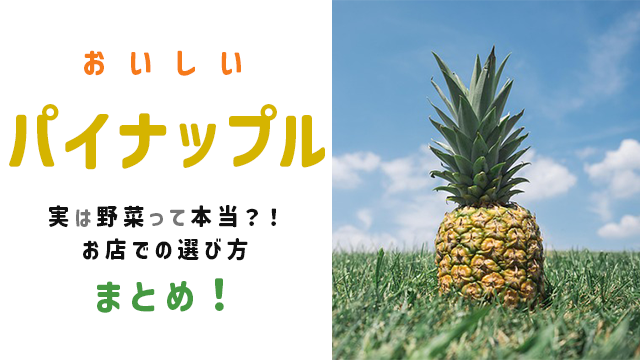 パイナップル 栄養 効能 野菜 なぜ